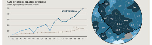 Visual Capitalist