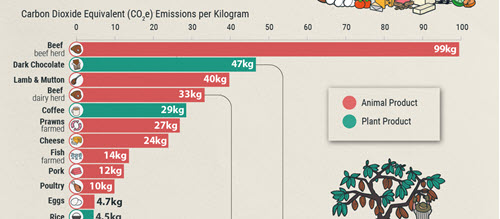 sample of data visualization, linked to full visualization at Visual Capitalist